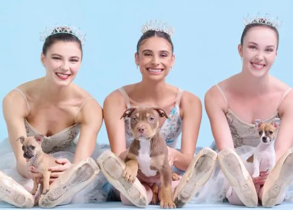 El cascanueces más bello, perruno y solidario de la Navidad 2023: perros y gatos en adopción posan con bailarines