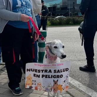 Los veterinarios de toda España se manifiestan hoy en Madrid …