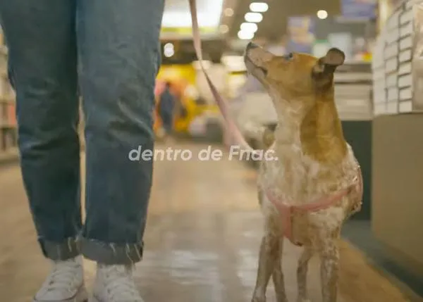¿Entrar con perro en Fnac? ¡Yes we CAN! Fnac España da la bienvenida a los canes en casi todas sus tiendas