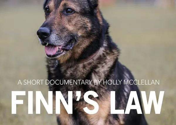 La ley de Finn: la legislación que protege a perros de asistencia o trabajo en el Reino Unido