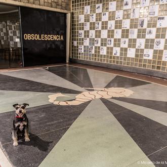 Paseos con arte (y perro): Espacio e Identidad, una expo …