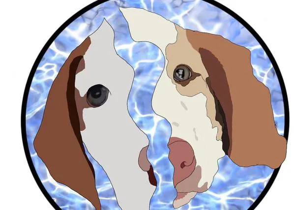 Kira y Kiko,  rescatados siendo cachorrotes, mueren ahogados 