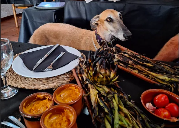 Escapadas con perro de otoño (a primavera): restaurantes de calçots dog friendly y rutas bonitas