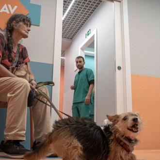 Una clínica veterinaria de Roma prevé atender a 400 animales …