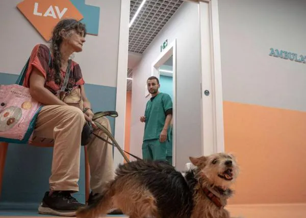 Una clínica veterinaria de Roma prevé atender a 400 animales de manera gratuita en un año