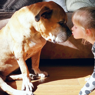 Crónica fotográfica de una pequeña gran amistad entre un can …
