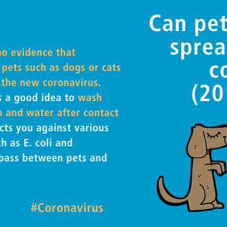 Los perros no pueden contagiar el coronavirus: no hay evidencia …