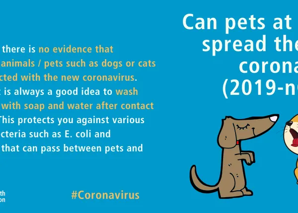 Los perros no pueden contagiar el coronavirus: no hay evidencia de que puedan transmitírselo a los humanos