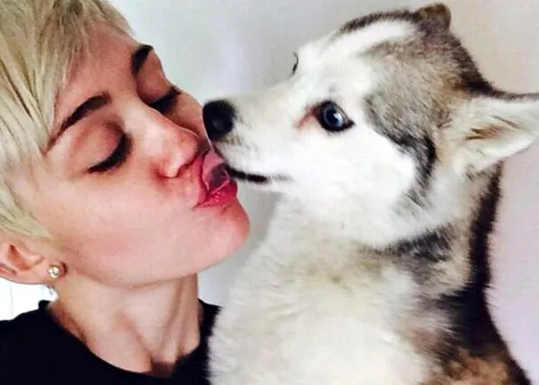 Miley Cyrus, emocionada hasta las lágrimas en un concierto tras la muerte de su can
