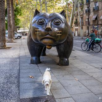 La vida con perro (y gato) en España y en …