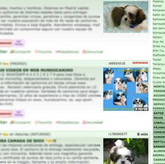 Venta de perros en internet: FAADA da un paso clave …