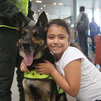 Sombra, una perra policía antidroga de Colombia, amenazada de muerte …