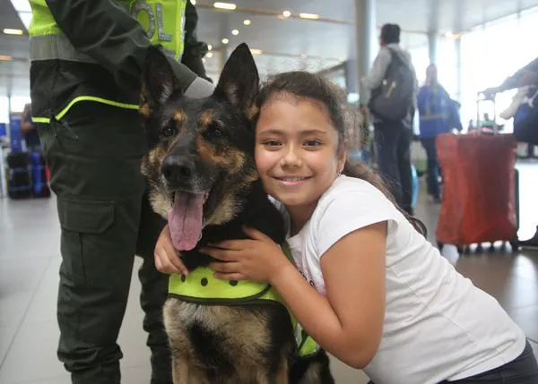 Sombra, una perra policía antidroga de Colombia, amenazada de muerte por el Cartel del Golfo