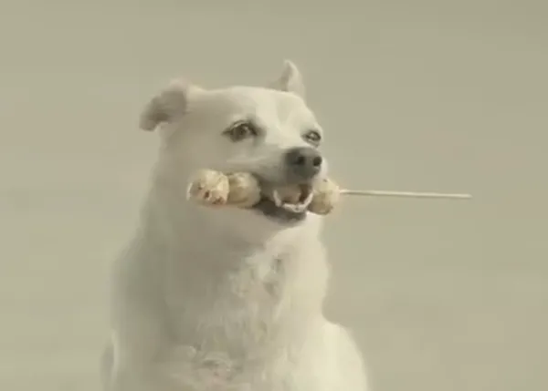 Lo que un can es capaz de hacer por un humano perrunamente simpático, versión anuncio (que mejora tu humor)