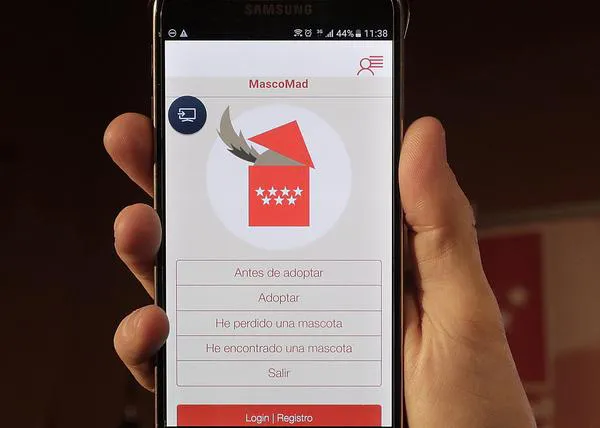 MascoMad, una app para fomentar las adopciones de perros y gatos en la Comunidad de Madrid