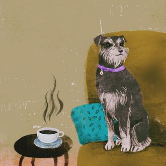 365 historias de perros a través de 365 ilustraciones: el …
