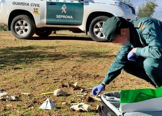 Una veterinaria y una decena de cazadores acusados del sacrificio ilegal de al menos 36 perros