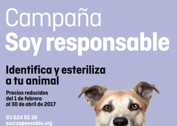 La importancia de esterilizar y de identificar a perros y gatos: las campañas de FAADA y ANAA 2017