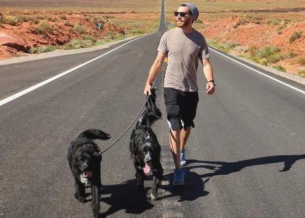 Encuentran (y rescatan) a dos parejas de cachorrotes abandonados en medio del desierto