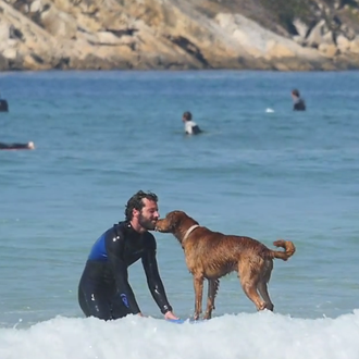 ¿Cómo enseñar a un perro a hacer surf? Con paciencia …