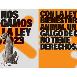 Llamativa campaña de SOS Galgos contra la Ley de Protección …