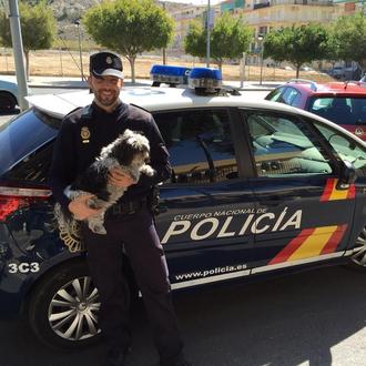 Recomendaciones de la Policía Nacional para evitar el robo de …