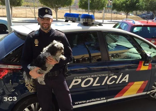 Recomendaciones de la Policía Nacional para evitar el robo de perros en España