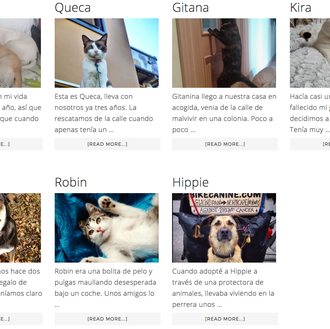 Historias de perros y gatos: una iniciativa para fomentar la …