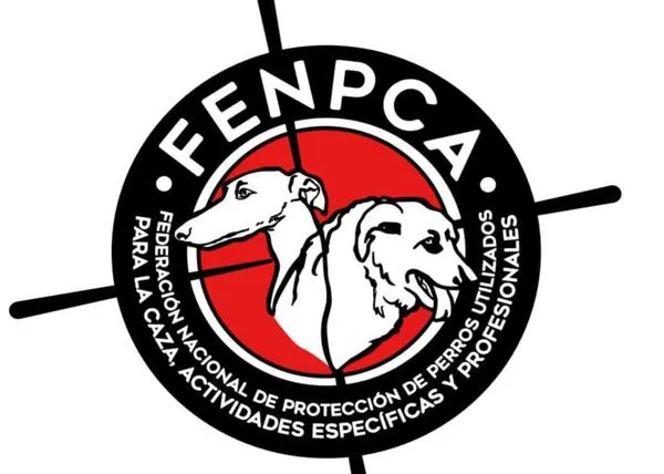 Nace FENPCA, una federación formada por protectoras y abogadas para proteger a los perros de caza en España