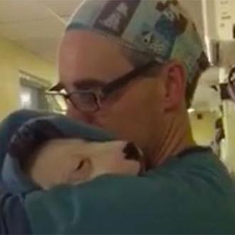 Un veterinario acuna a una cachorra que llora tras ser …