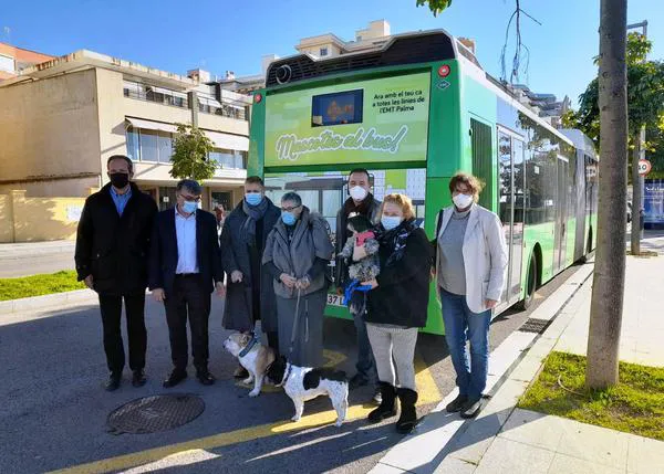 Los perros suben al autobús en Palma de Mallorca, ¡en todos los buses urbanos!