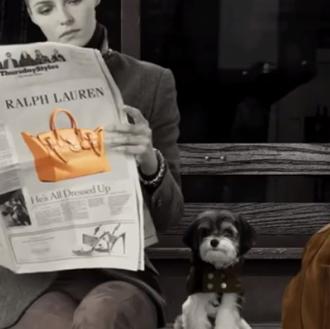 The DogWalk, Ralph Lauren pone a desfilar a canes en …