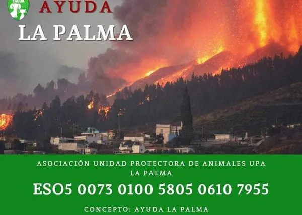 Las protectoras en La Palma necesitan ayuda