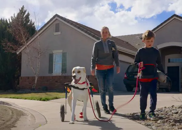 Una adopción es para toda la vida: la historia de un niño y su perro con un mensaje universal