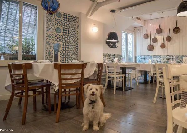 Los mejores restaurantes dog friendly donde disfrutar de un delicioso arroz en Barcelona, Valencia, Girona, Cádiz o Ibiza...