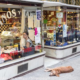 Madrid Dog Friendly: the top 100 addresses to enjoy the …
