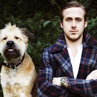Ryan Gosling no olvida a George, su mejor amigo perruno …