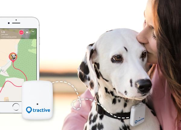 La Tecnología Que Une Perros Y Humanos En Tiempo Real Tractive Gps