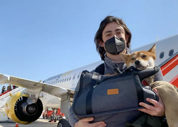 Vueling aumenta a 10kg el límite de peso para volar con perro en cabina (OJO desde 2023, vuelve a 8kg)