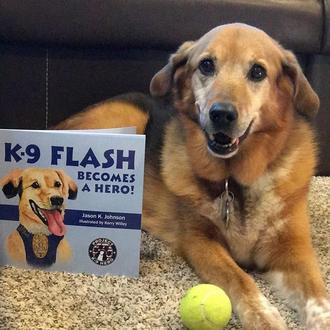 K-9 Flash, de perra abandonada a heroína: una perra policía …