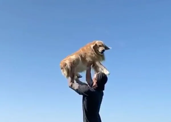 El paso del tiempo a través de los felices reencuentros entre una persona y su perro