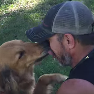 Los besos y el reencuentro más feliz: una perra sobrevive …