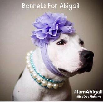 Abigail y los gorros de la esperanza para reivindicar el …