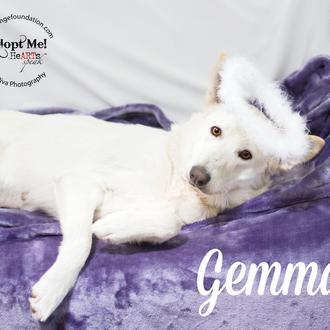 Historia de una adopción múltiple: la nueva vida de Gemma …