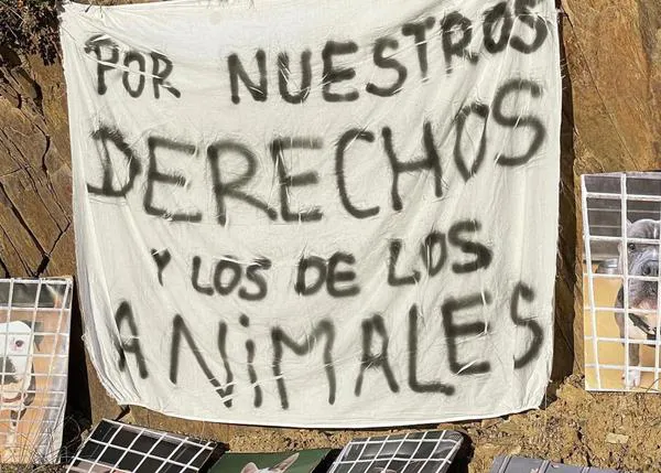 Huelga indefinida y concentraciones por la situación en el Centro de Acogida de Animales de Barcelona