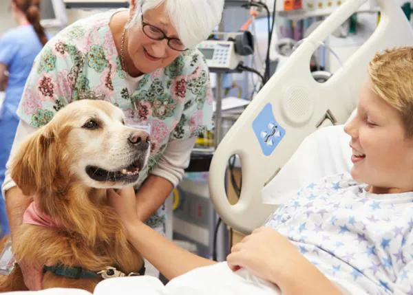 Menos ansiedad y menos medicación: los beneficios de los perros de terapia para los niños en urgencias