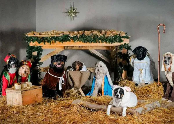 Una decena de perros protagonizan el Belén más GUAU de esta Navidad