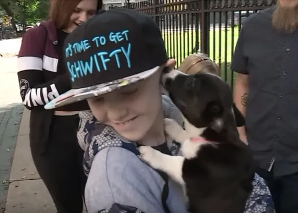 Un niño que soñaba con tener un perro mientras luchaba contra el cáncer ¡recibe por sorpresa un cachorro de Corgi! 
