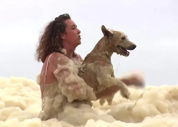 Dramático rescate de una perra perdida en una tormenta de espuma en una playa australiana