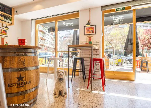 ¿De vermut con perro? ¡Yes we CAN! 24 bares perfectos para tomar el aperitivo en compañía canina
